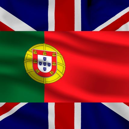 quality moving services in lisbon - vou consigo mudancas