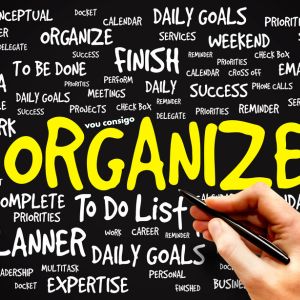 vou consigo - organize sua nova casa connosco
