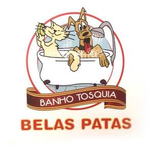 Belas Patas em Belas, banho e Tosquia