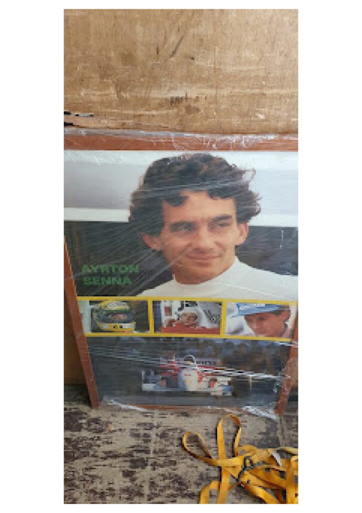 ayrton senna - blog - vou consigo mudancas